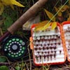 Dry Fly Box