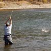 Fish On